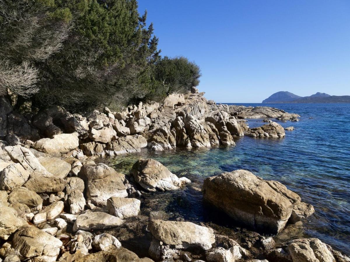 Apartment La Nina By Interhome Porto Rotondo Exterior foto